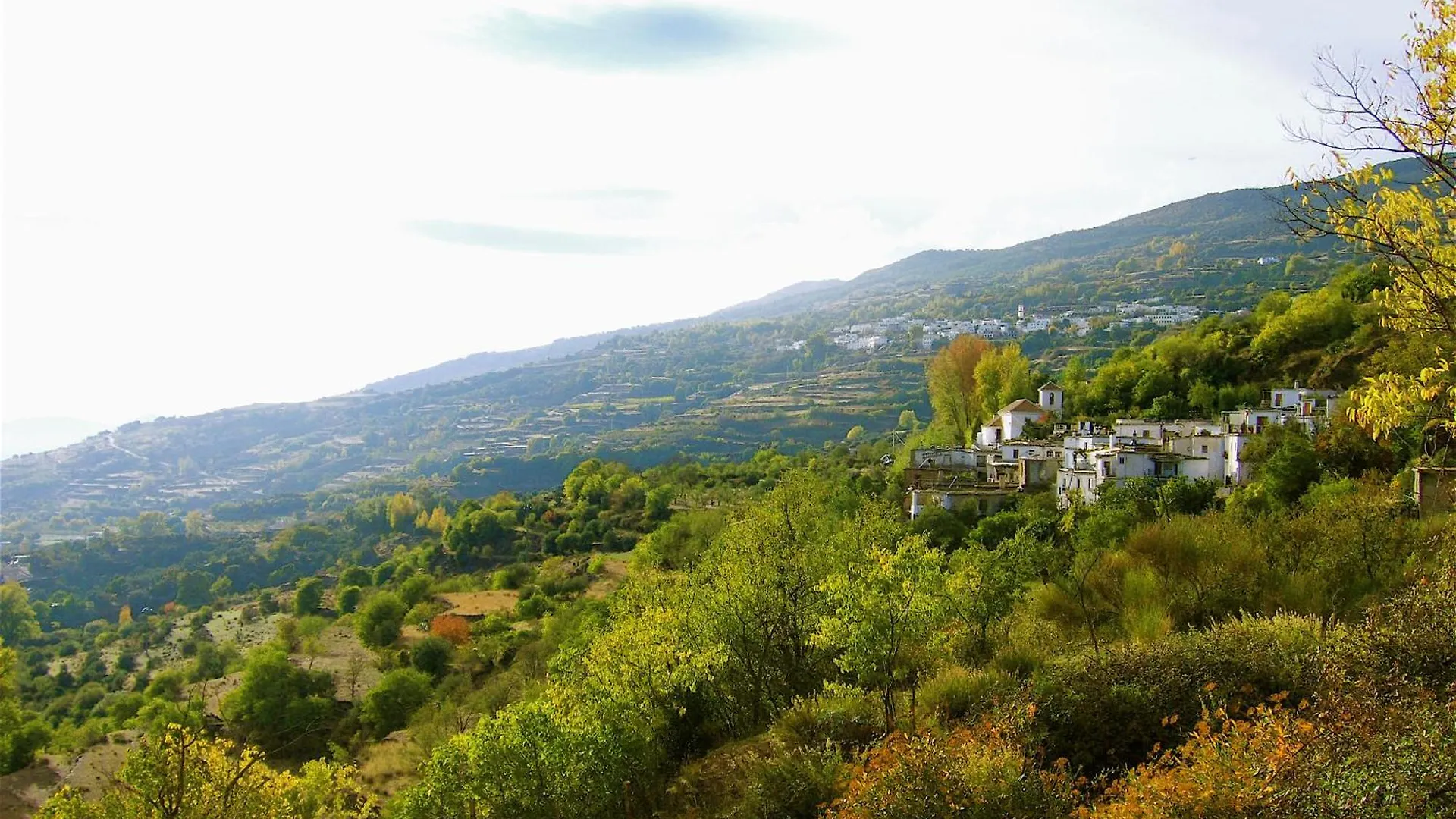 Historic Casa Almelara With Heated Pool And Steam Room Atalbeitar